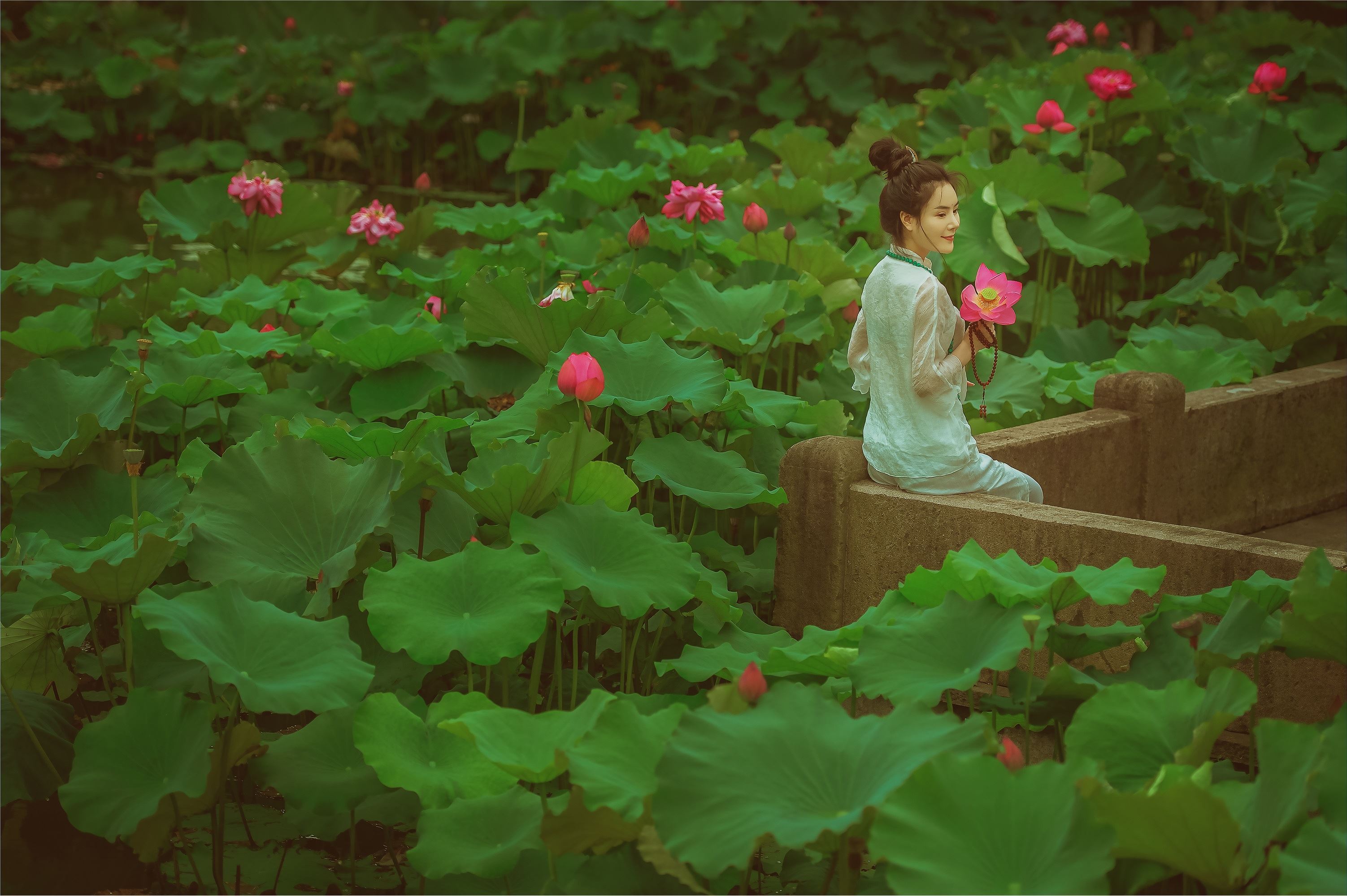 YITUYU艺图语 2021.08.14 赏荷记 颗颗树